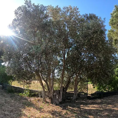Canvasvilla Bodrum خيمة فخمة