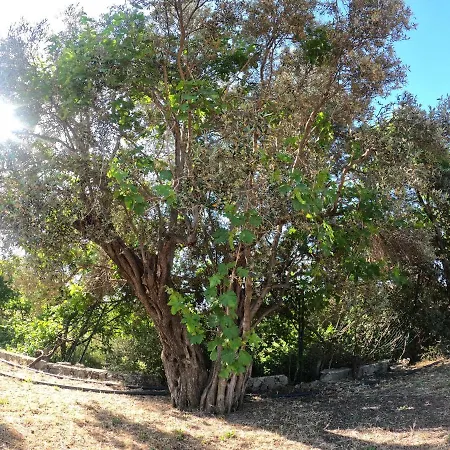 خيمة فخمة Canvasvilla Bodrum بودروم